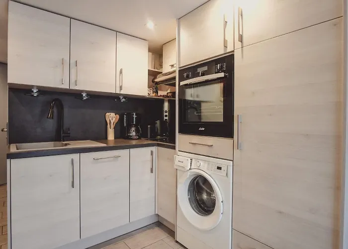 Joli Duplex 6 Pers 2 Alpes - 100m Pistes Et Commerces Apartment Les Deux Alpes